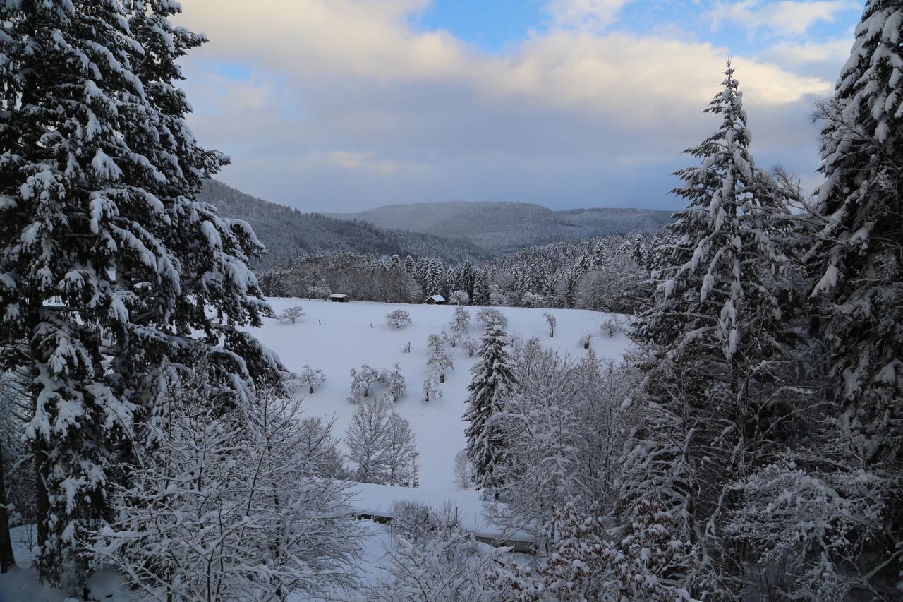 Schweizerhaus Villa อัลเพียร์สบาค ภายนอก รูปภาพ