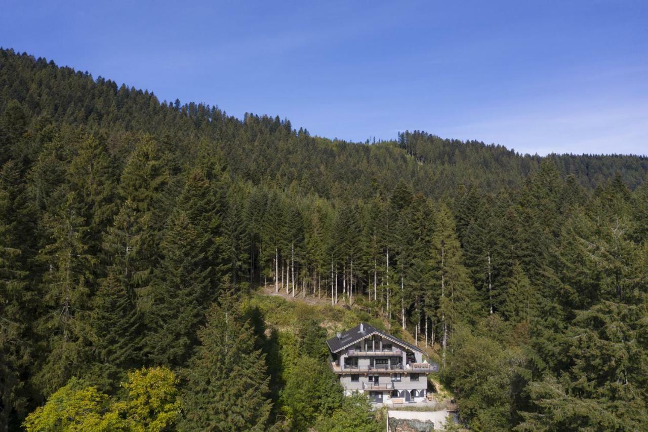 Schweizerhaus Villa อัลเพียร์สบาค ภายนอก รูปภาพ